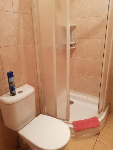 Санкт-Петербург: Room in the center 1