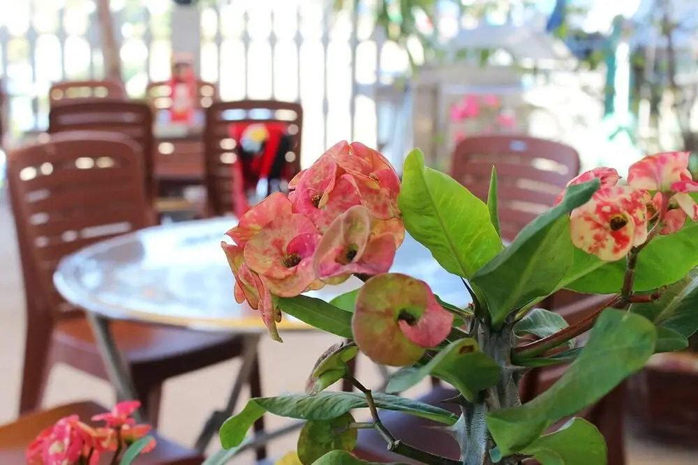 Фантхьет: Bien Lac Homestay