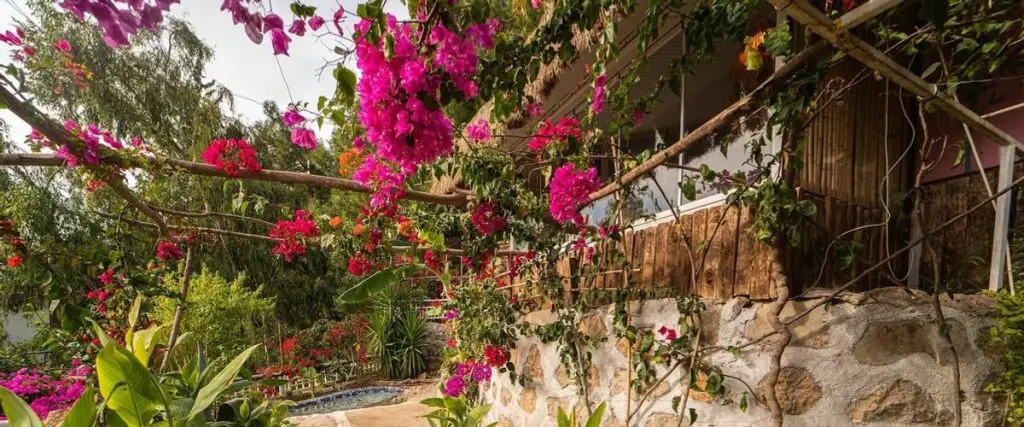 Фетхие: Begonvilla Bungalows