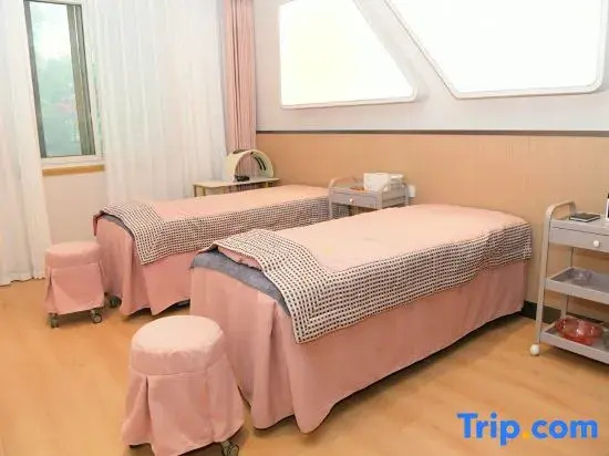 Шицзячжуан: Jingye Hotel