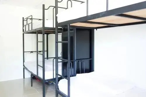 Фанранг - Тап Чам: Phi Kite School