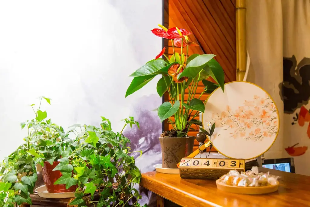 Сучжоу: The Courtyard Suzhou Inn Hemu Branch