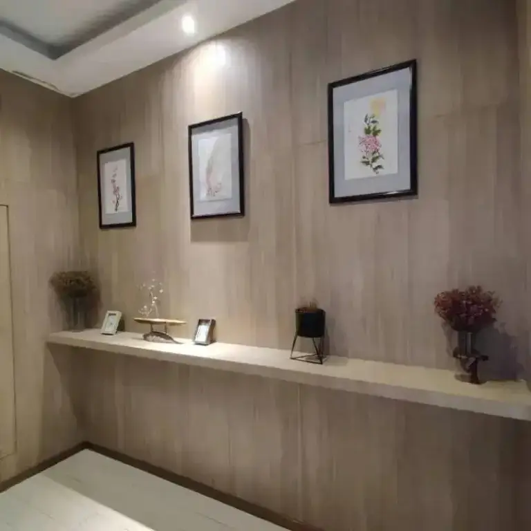 Наньтун: Hanting Premium Hotel Nantong Qidong Lvsi