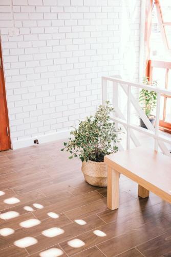 Нан: Yuuplearn Hostel