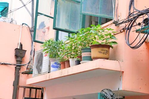 Шанхай: 【Nest】Guesthouse near Xujiahui