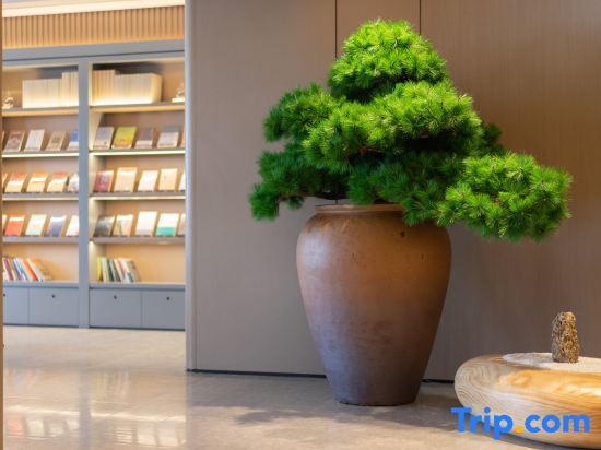 Шэньчжэнь: JI Hotel Shenzhen Futian Shawei Metro Station
