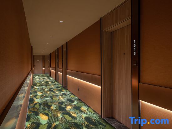 Чэнду: Orange Hotel (Chengdu Shuangliu International Airport Branch)