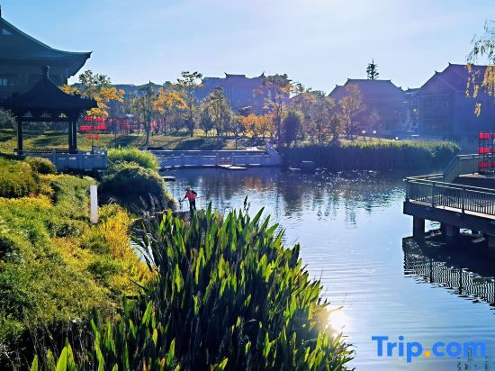 Куньмин: Xitang Joy Lake Homestay (Kunming Sunac Dianchi Houhai Store)