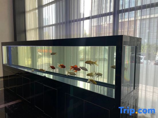 Линьи: Orange crystal Linyi Beijing Road  Hotel