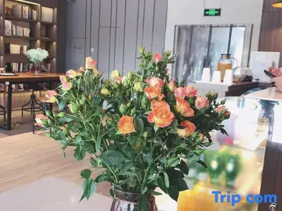 Нанкин: Hanting Hotel Nanjing Baixia Industrial Park