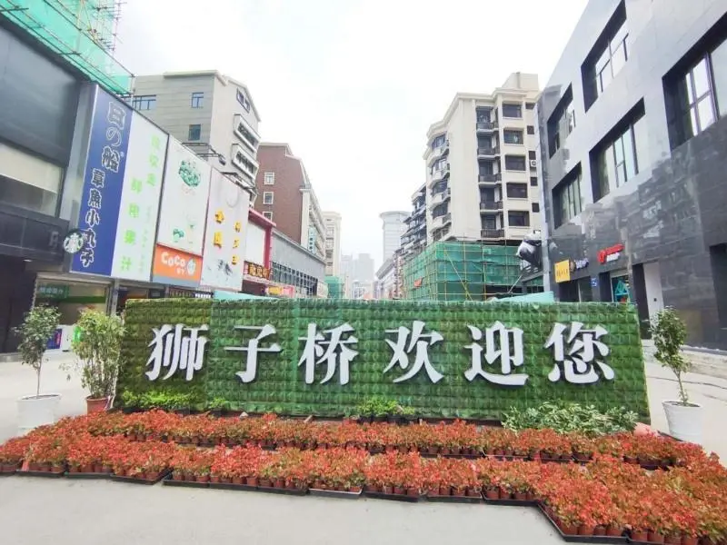 Нанкин: Green Tree Inn Nanjing Zhongda Hospital Shizi Bridge Pedestrian Street