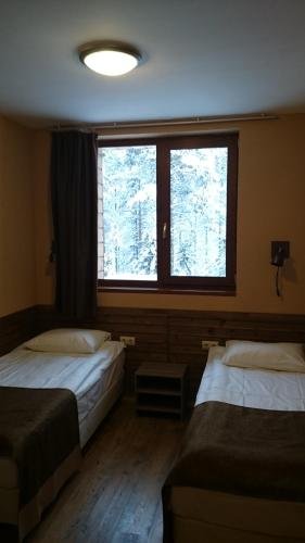 Зеленоборский: Motel Zeleniy Bor