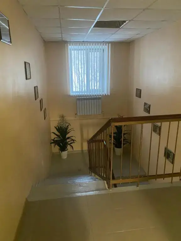 Елизово: Vila Hostel