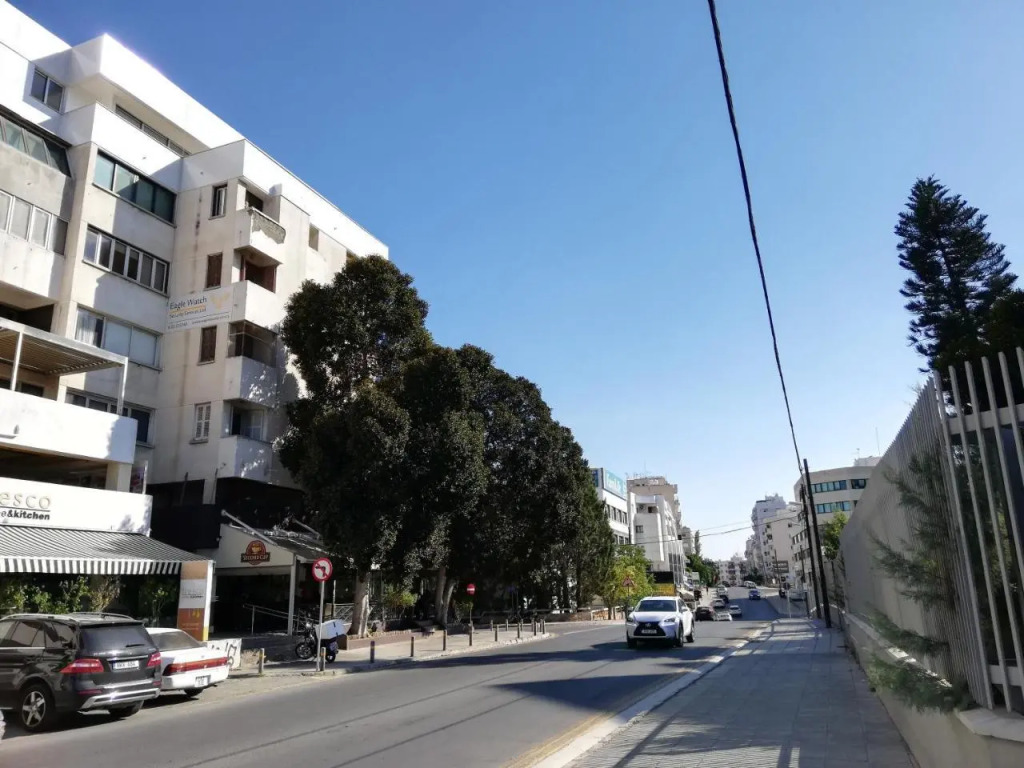 Nicosia 5 Stars Suites — фото 1