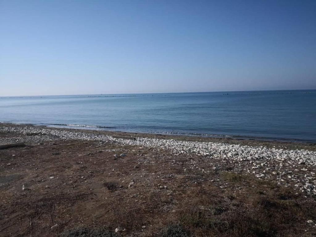 Перволия: Sandy Beach N.8