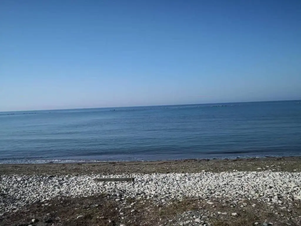 Перволия: Sandy Beach N.8