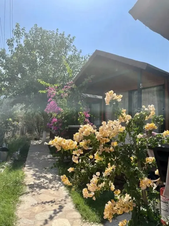 Орхание: Marimare Beach & Bungalow Hotel