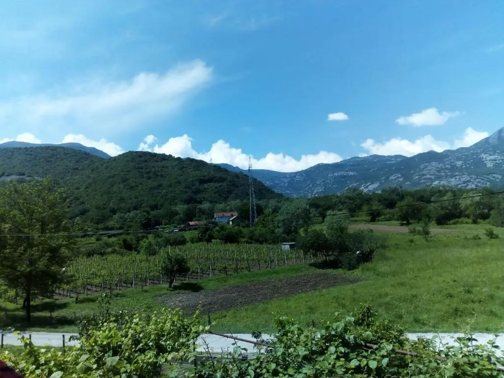 Вирпазар: Studio and winery Kalimut