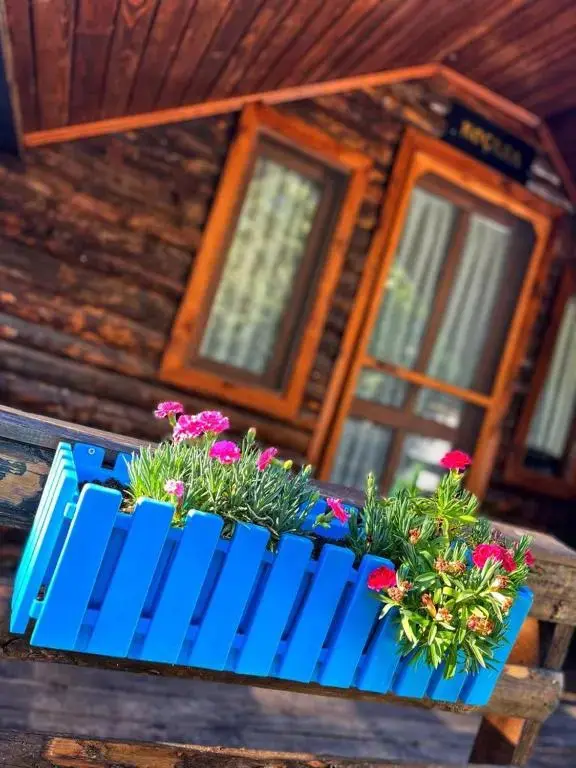 Эдремит: ZeytinDagi Bungalow Butik Otel