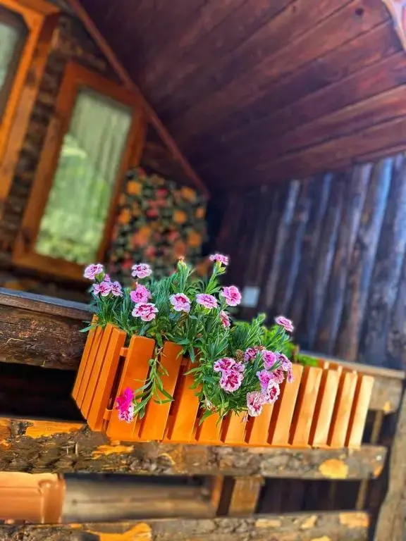 Эдремит: ZeytinDagi Bungalow Butik Otel