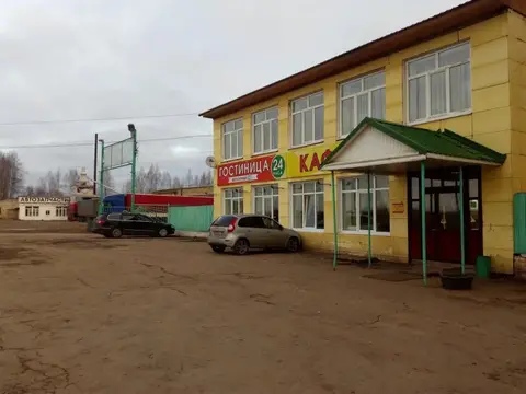 Сова — фото 1