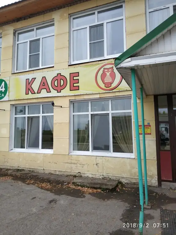 Тужа: Сова