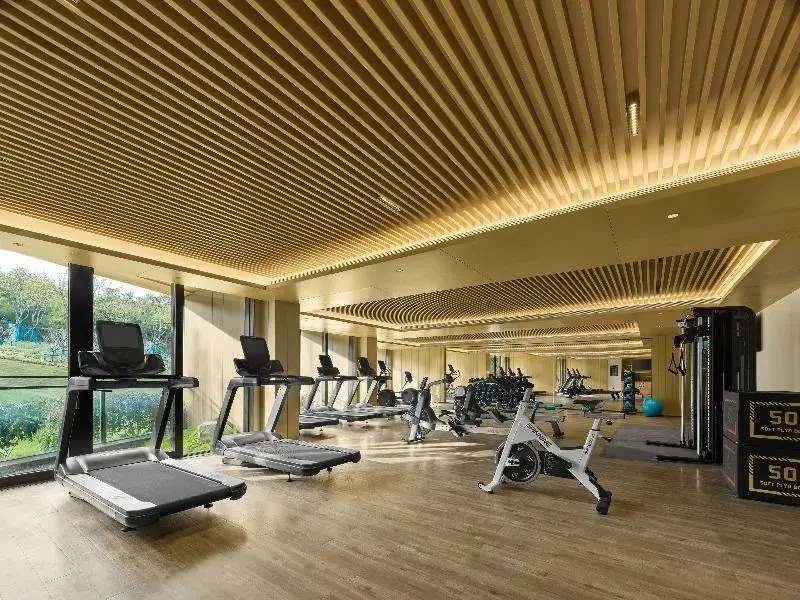 Нанкин: Hilton Nanjing Niushoushan