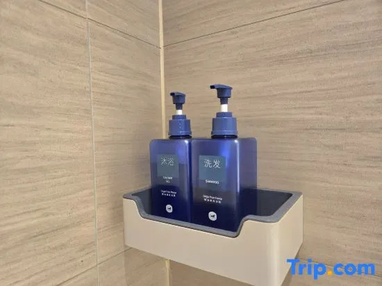 Шэньчжэнь: Hanting Hotel (Shenzhen Xixiang Taoyuan Subway Station)