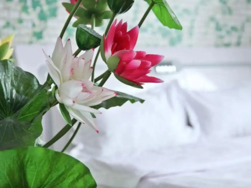 Чжэнчжоу: Le 8 Holiday Hotel (Zhengzhou Erqi Wanda Plaza)