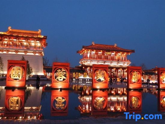 Сиань: 7 Days Premium (Xi'an Great Wild Goose Pagoda Xiaozhai Metro Station)