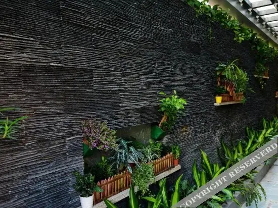 Шэньчжэнь: Shenzhen Flower House Hotel
