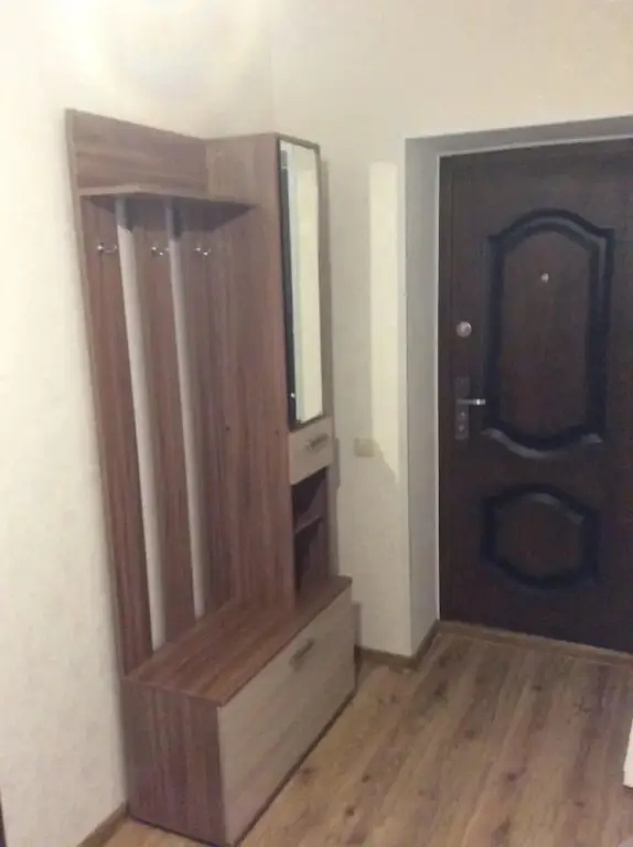 Тамбов: Апартаменты на Агапкина, 4