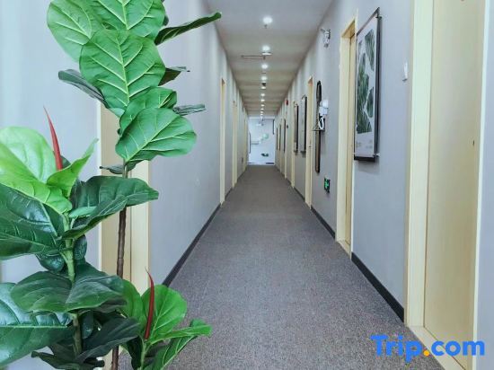 Шанхай: 99 Inn (Shanghai Jianchuan Road)