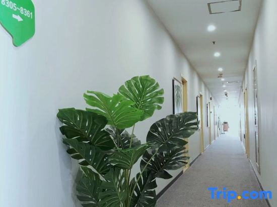 Шанхай: 99 Inn (Shanghai Jianchuan Road)