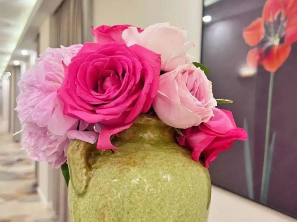 Шанхай: Dream House Garden Hotel