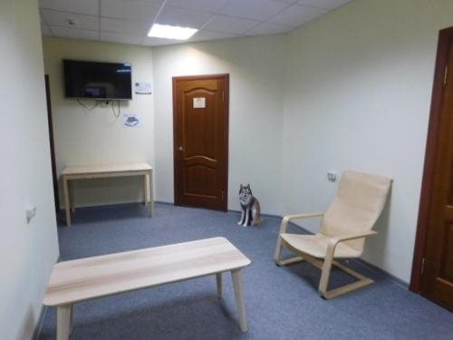 Тамбов: Tambovskij Volk Hostel