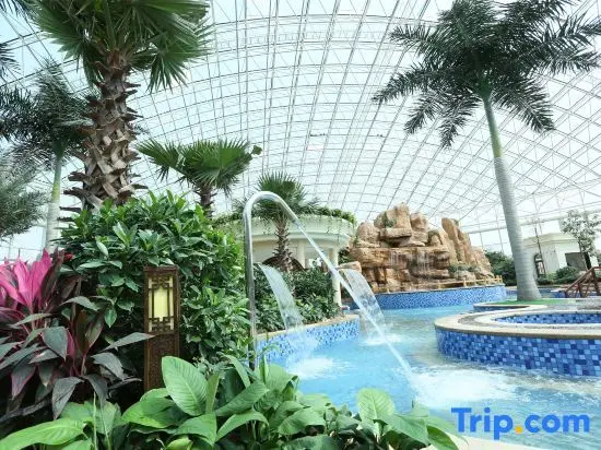 Линьи: Aohua International Hot Spring Hotel