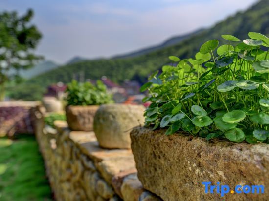 Хучжоу: Moganshan Yun Ting ▪ Chinese style aesthetic courtyard homestay