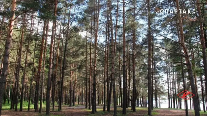 Тамбов: Отель Спартак