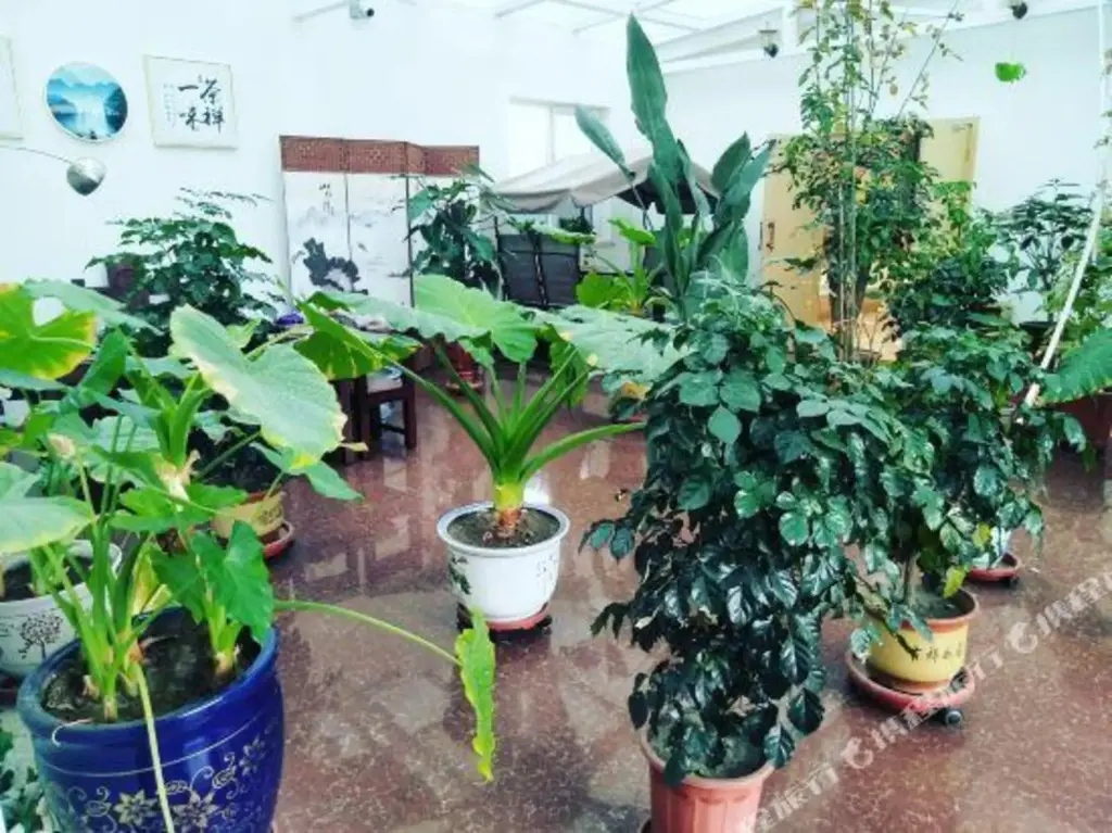 Цзяюйгуань: Vienna 3 Best Hotel (Guancheng Fangte Branch, Jiayuguan)