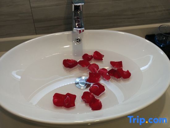 Тяньцзинь: Tianjin Classic Holiday Inn (Xiqing University Town Zhuoer E-Mall)
