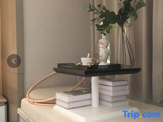 Шэньчжэнь: True Go Apartment (Shenzhen International Convention and Exhibition Center)
