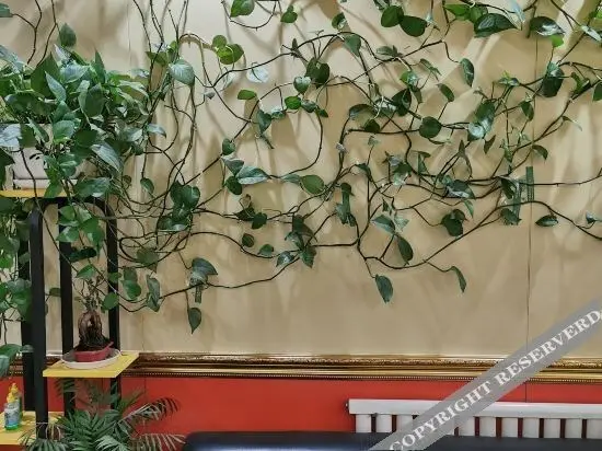 Пекин: 99 preferred Hotel