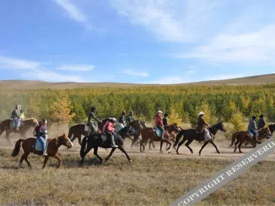 Долуньноэр: Antai Hostel