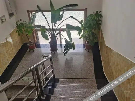 Синьчжоу: Daixian Hongxin Hotel