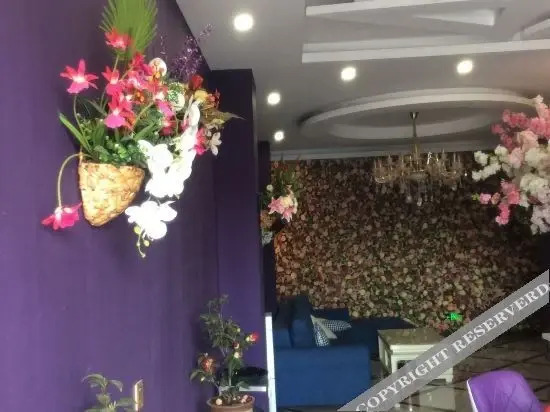 Лицзян: Yongsheng Wanlian Theme Hotel