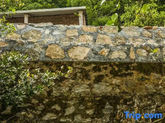 Хойчжоу: Modong Orchard Farmstay Boluo Luofu Moutain