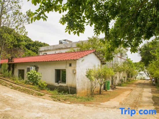 Хойчжоу: Modong Orchard Farmstay Boluo Luofu Moutain