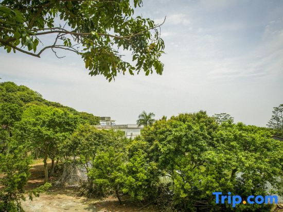 Хойчжоу: Modong Orchard Farmstay Boluo Luofu Moutain