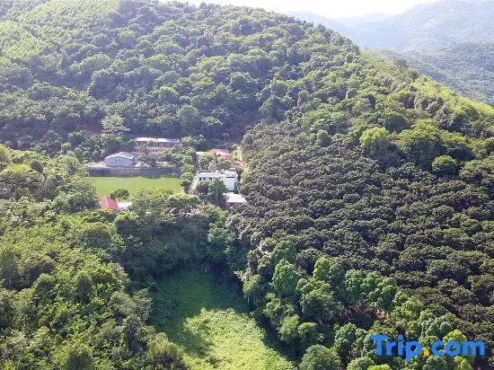 Хойчжоу: Modong Orchard Farmstay Boluo Luofu Moutain